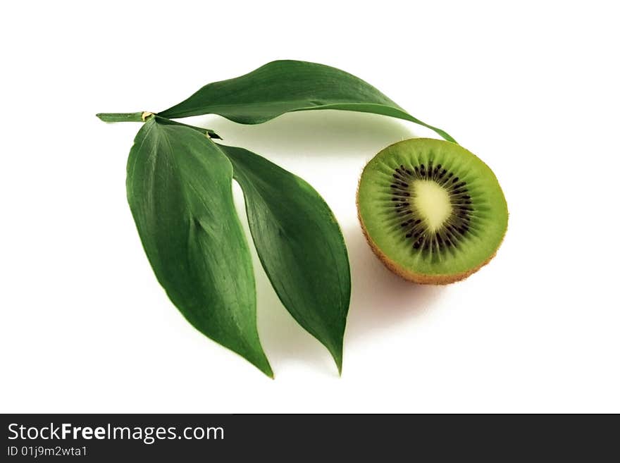 Composition from sheet and kiwi on light background