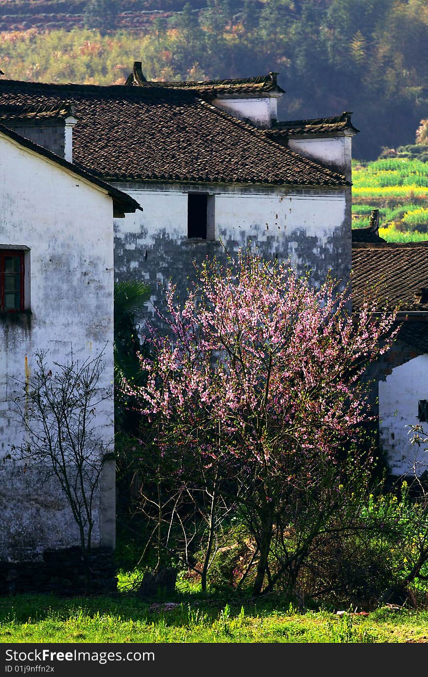 The village in the spring