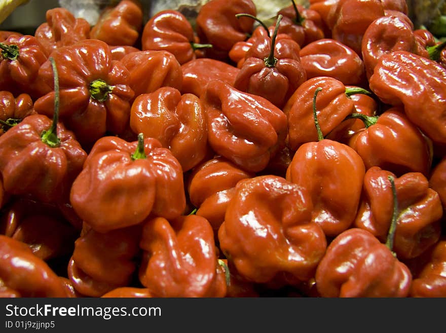 Red Pepper 1