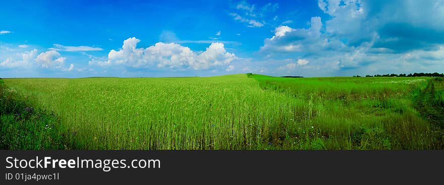 An image of a green field and blue sky. An image of a green field and blue sky