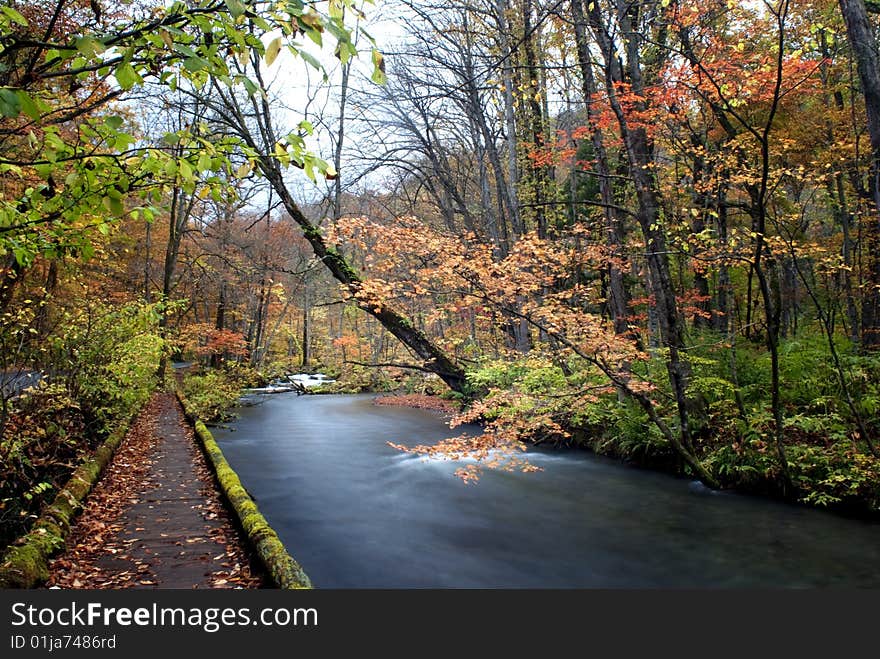 Fall of Oirase, Japan