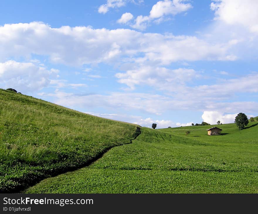 A beautiful image of a lawn. A beautiful image of a lawn.