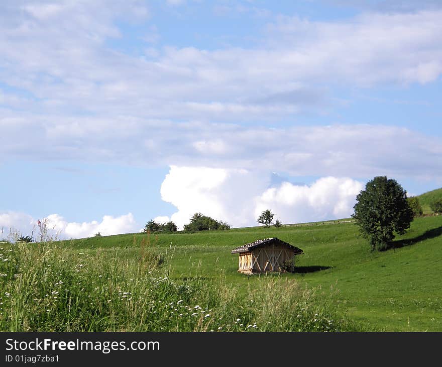 A beautiful image of a lawn. A beautiful image of a lawn.