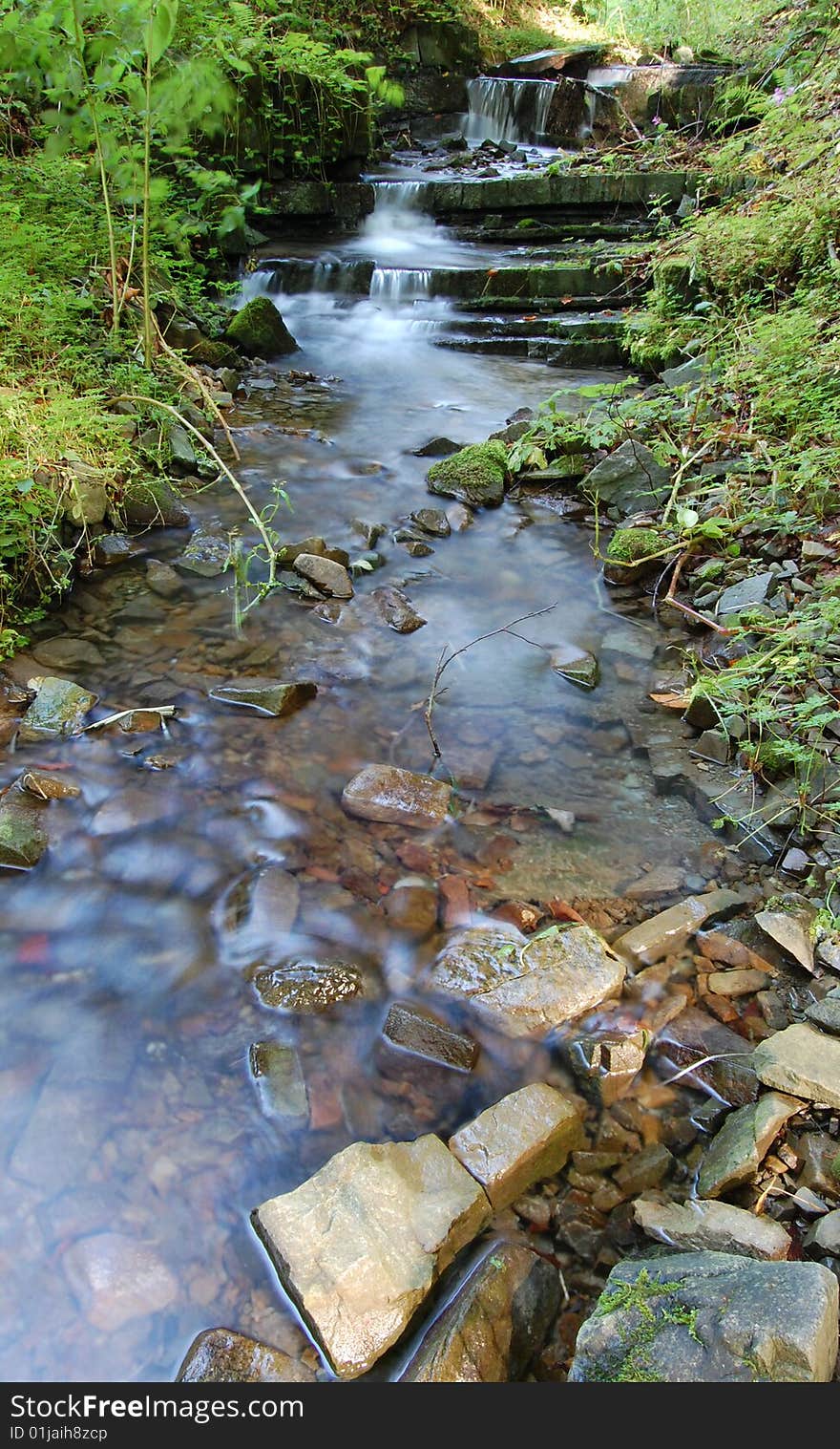 Beautiful forest stream in Beskydy.