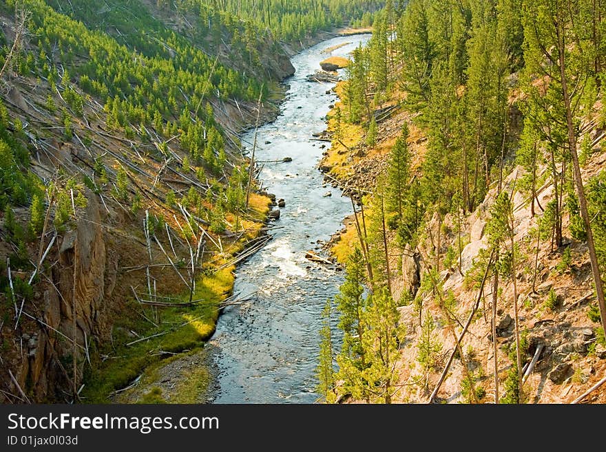 Rural river running through Yellowstone Park. Rural river running through Yellowstone Park.