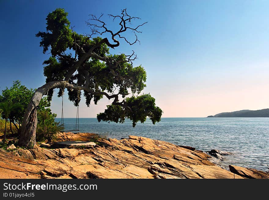 Wooden swing on tree and stone beach scene at sunset. Wooden swing on tree and stone beach scene at sunset