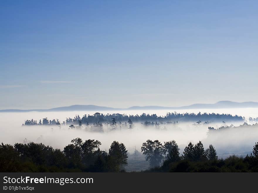 Morning Fog