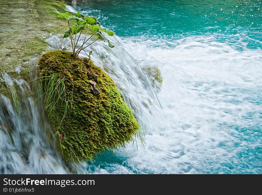 The water which flows between moss rocks. The water which flows between moss rocks