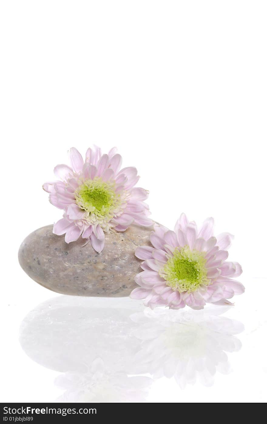 Spa stones and flower