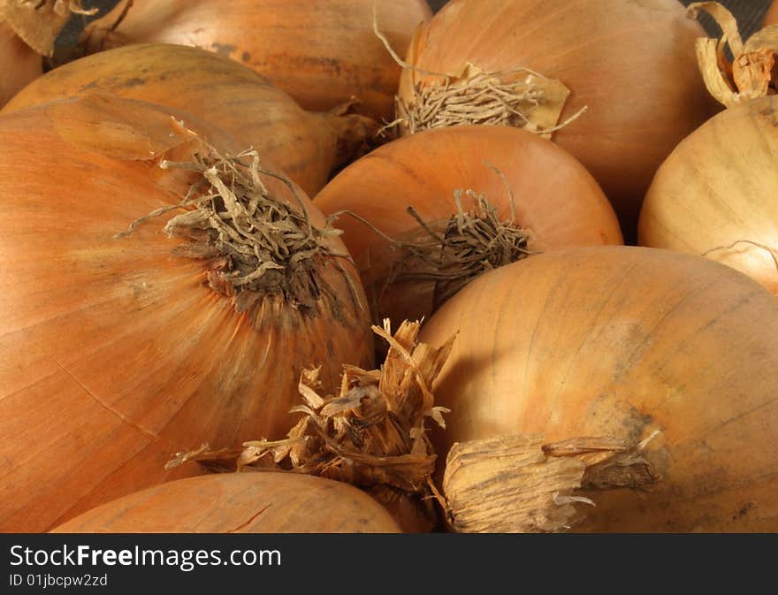 Close up of onions in warm light