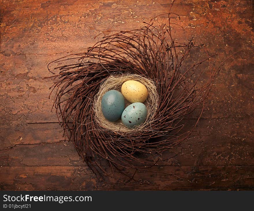 Eggs in a nest