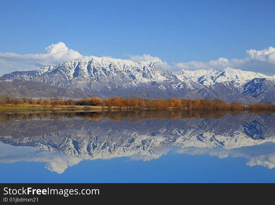 Spring Reflections