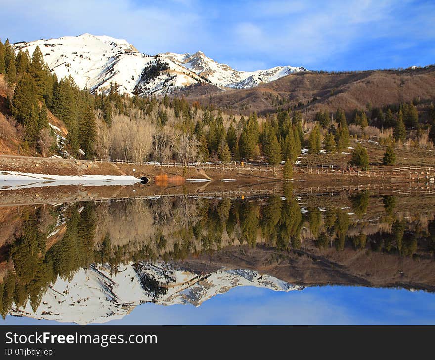 Spring Reflections