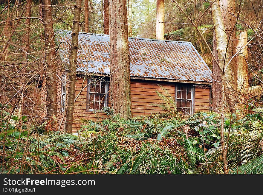 Old wooden cabin in woods in early spring