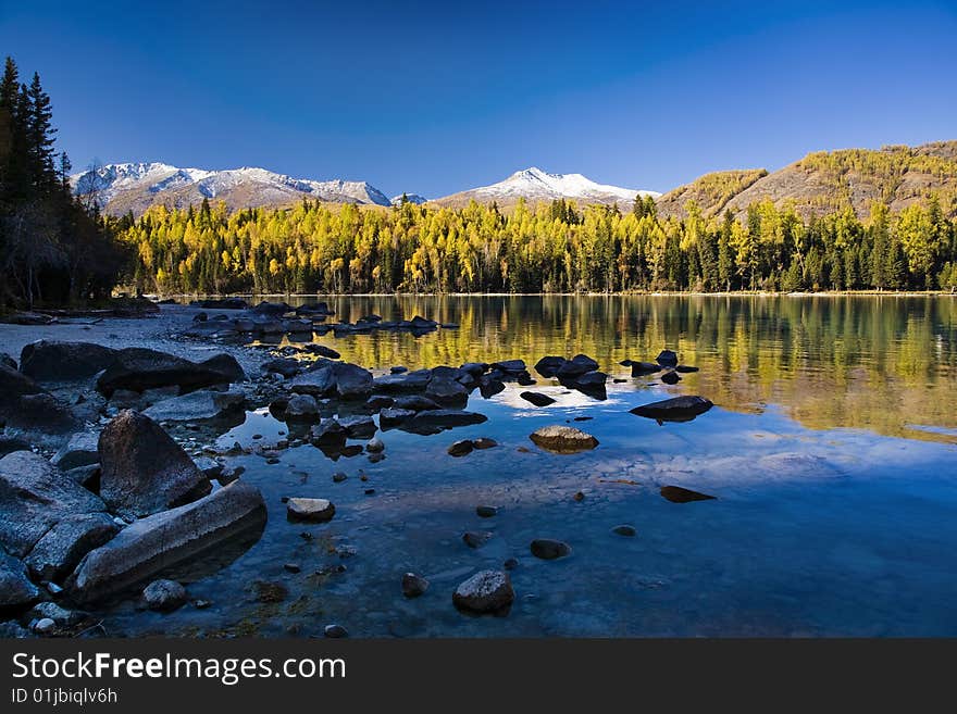 Forest and mountain reflecting in a lake. Forest and mountain reflecting in a lake.