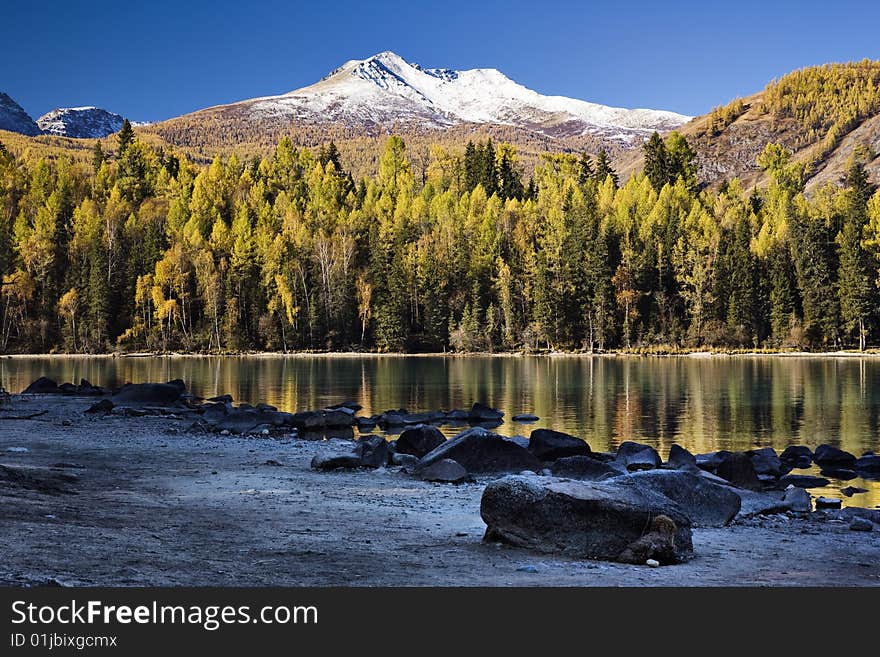 Forest and Mountain reflecting in a lake. Forest and Mountain reflecting in a lake.