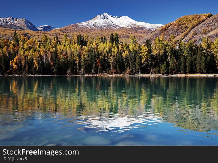 Forest and Mountain reflecting in a lake. Forest and Mountain reflecting in a lake.