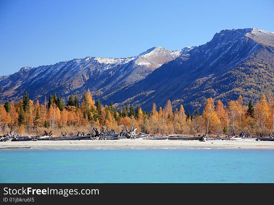 Kanas,It's a very attractive place.xinjiang,china. Kanas,It's a very attractive place.xinjiang,china.