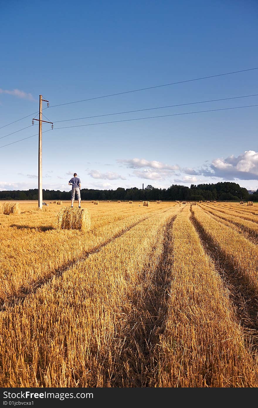 Landscape with field and blue sky. Landscape with field and blue sky