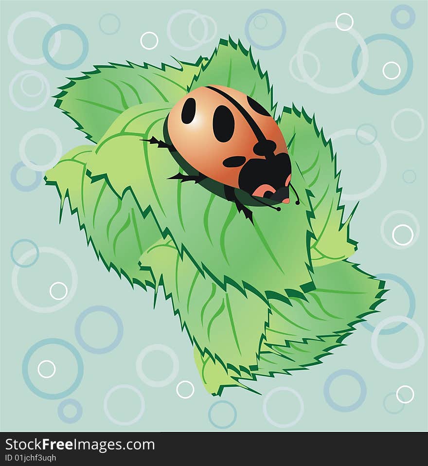 Cute ladybird on leaf -  illustration