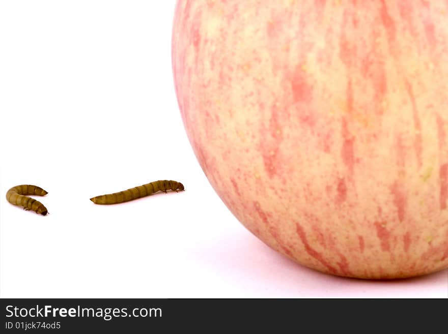 Apple and worm on white background