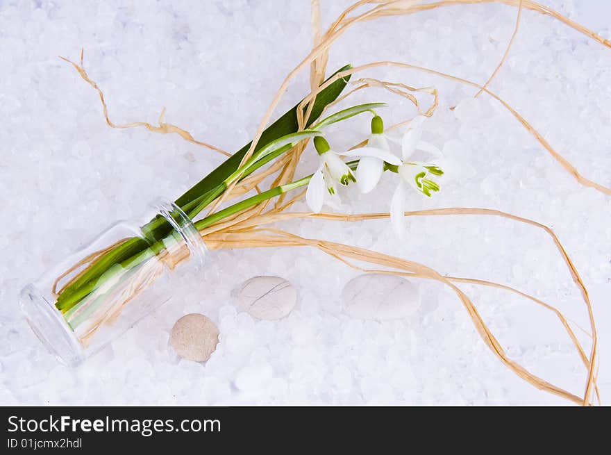 Picture of snowdrops in a small vase. Picture of snowdrops in a small vase.