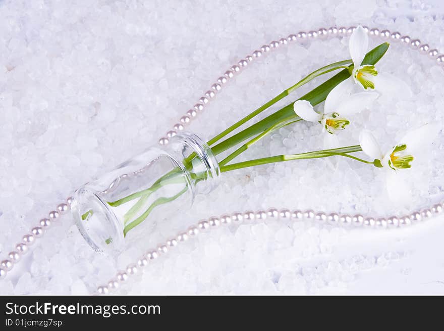 Picture of snowdrops in a small vase. Picture of snowdrops in a small vase