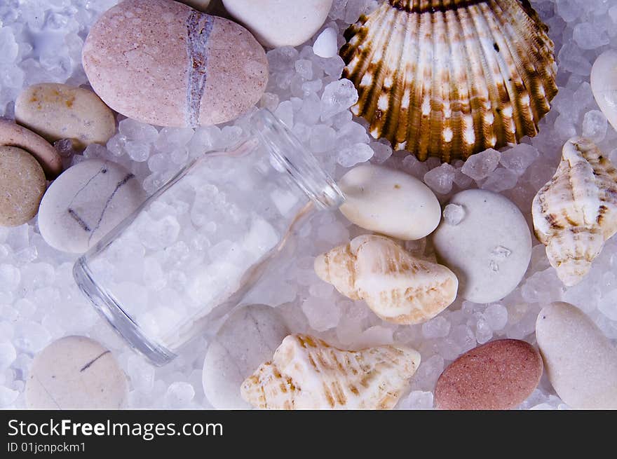 Picture of stones and shells