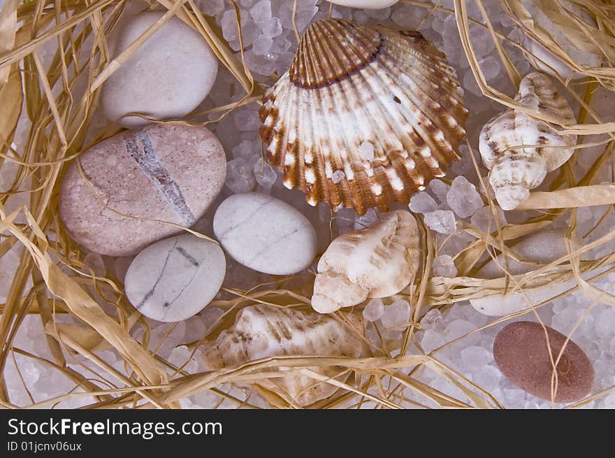 Picture of stones and shells