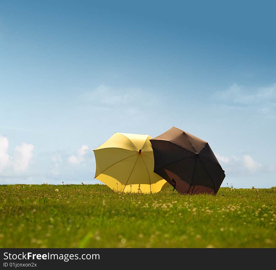 Two umbrellas on a sunny meadow