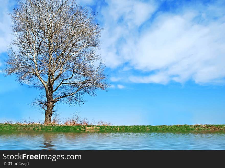 Beautiful river side landscape picture with tree reflection