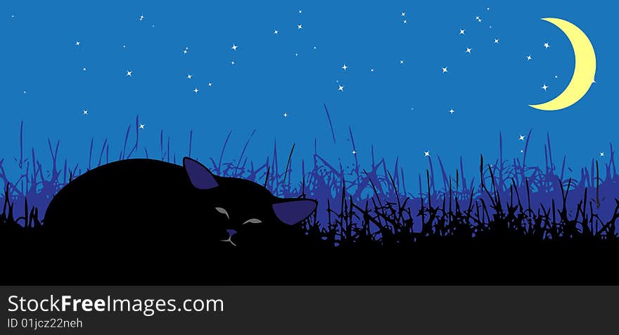 Sleeping cat under the moon, vector illustration