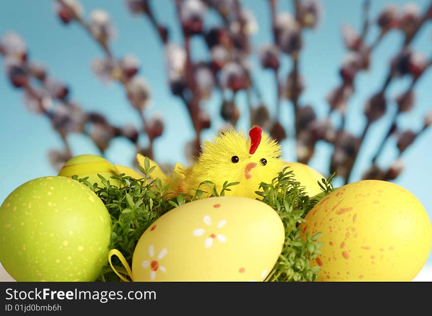 Chicken and eggs on the blue sky background, easter season, colored eggs