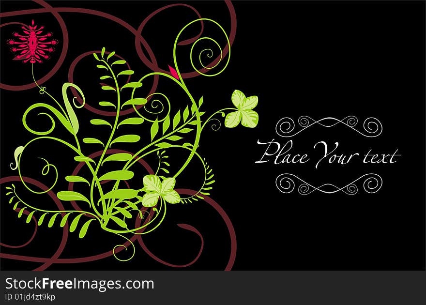 Vector drawing of an art background with wild plants and flowers