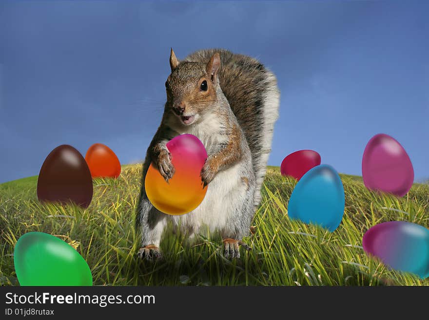 Easter eggs squirrel carrying, a colored egg. Easter eggs squirrel carrying, a colored egg.