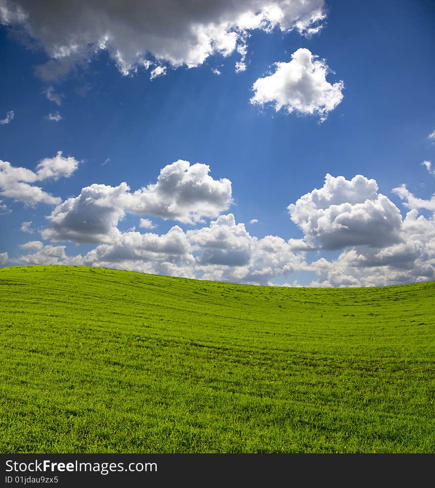 Green meadow under blue sky with clouds. Green meadow under blue sky with clouds