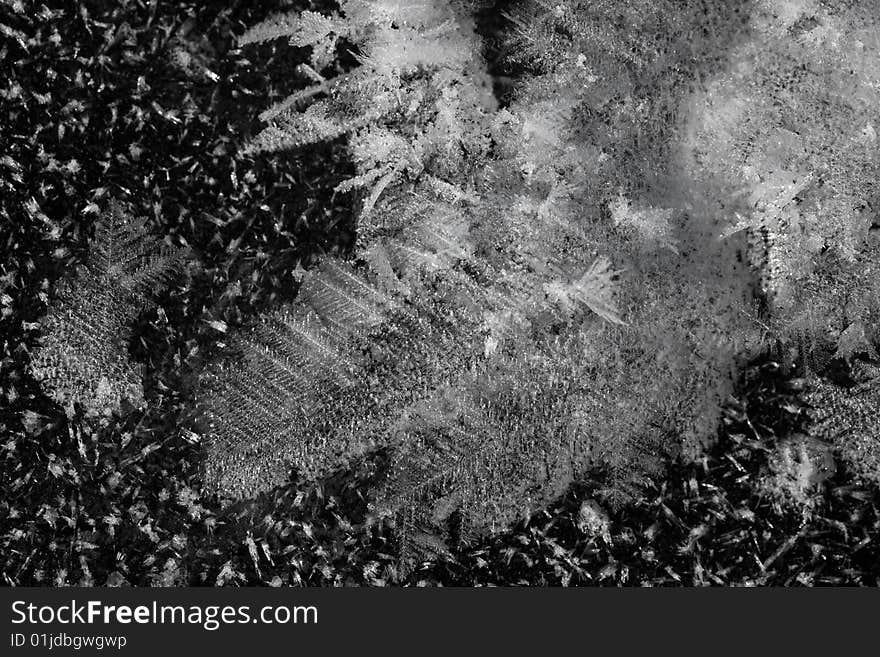 Frost crystals