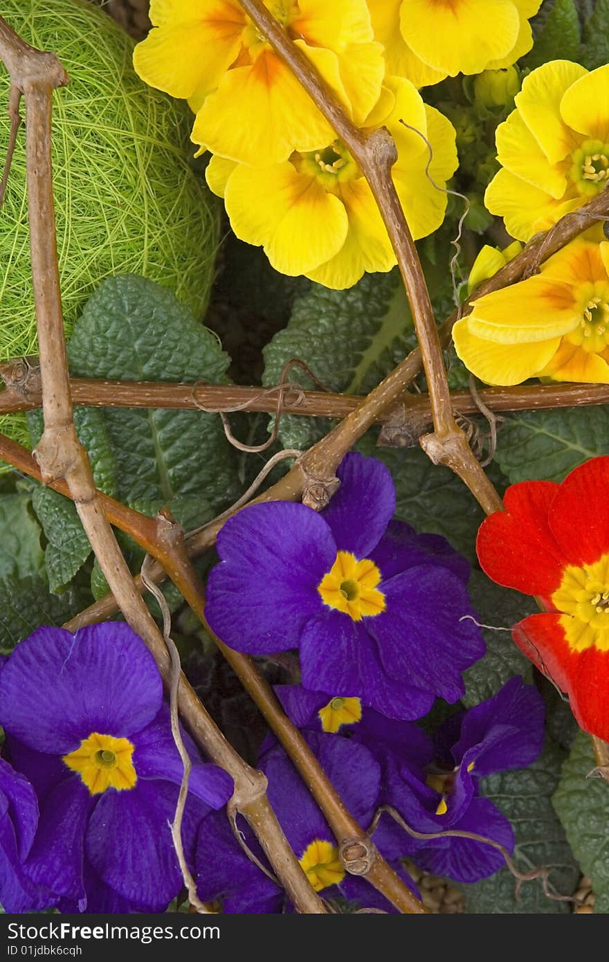 Decoration from primrose and natural materials.