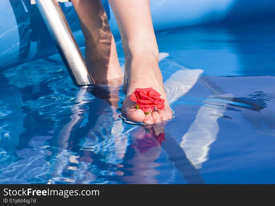 Leg in pool with a rose