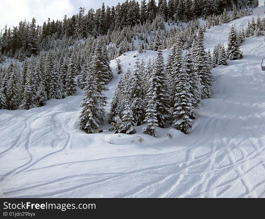 Fresh skied snow in a sunny day cyprees vancouver bc. Fresh skied snow in a sunny day cyprees vancouver bc