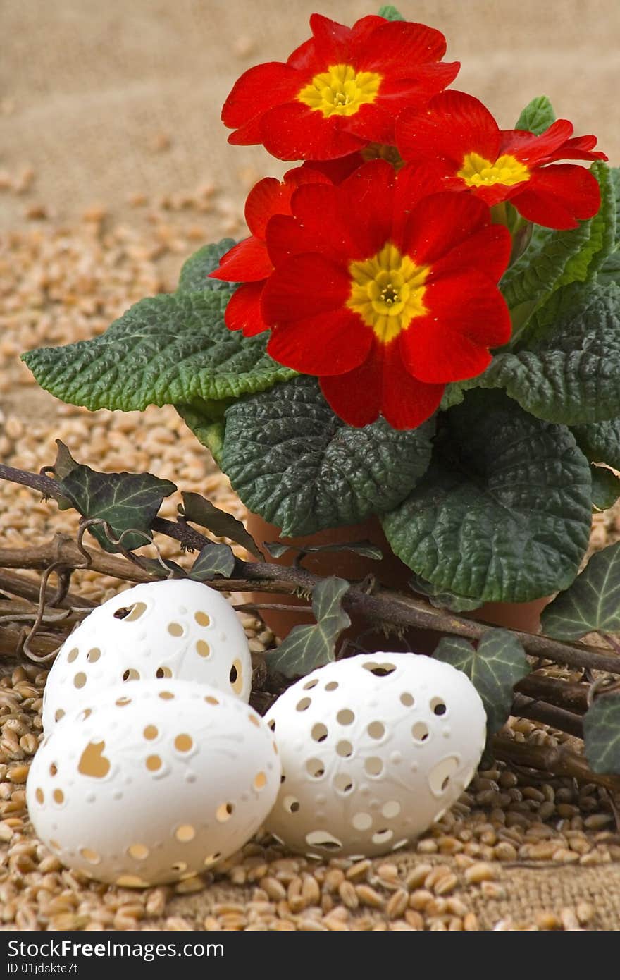 Easter retirement,red primrose and Easter egg. Easter retirement,red primrose and Easter egg.