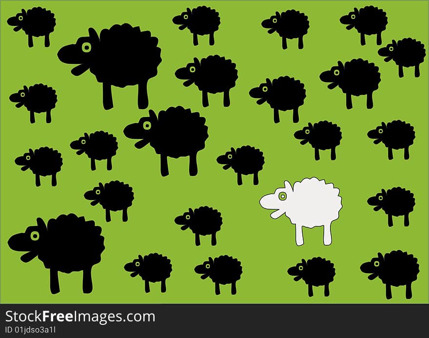 Sheep