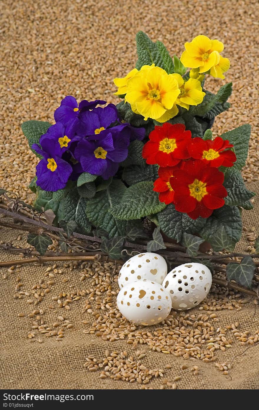 Easter retirement with variance coloured primrose and Easter egg. Easter retirement with variance coloured primrose and Easter egg.