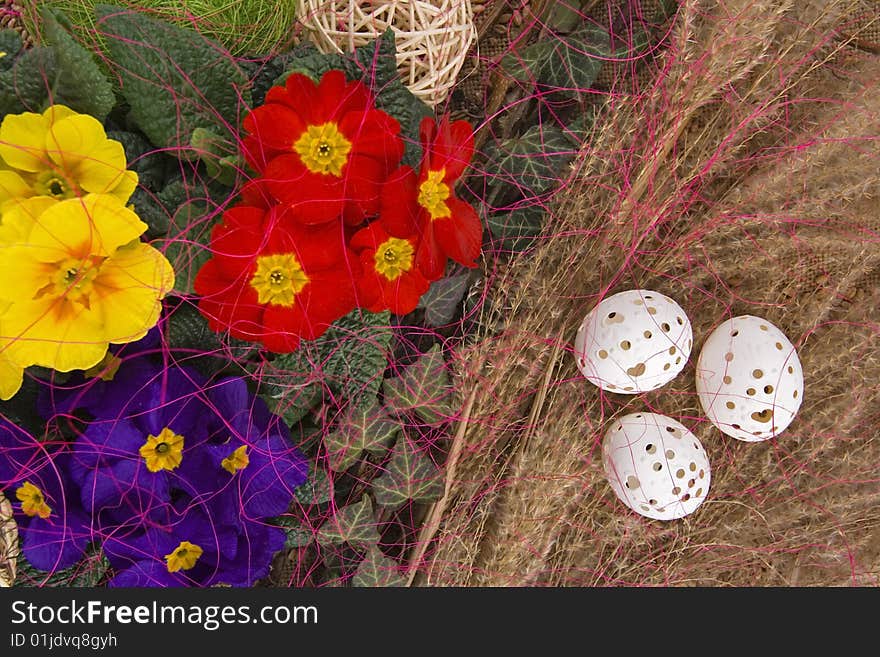 Easter retirement with variance coloured primrose and Easter egg. Easter retirement with variance coloured primrose and Easter egg.