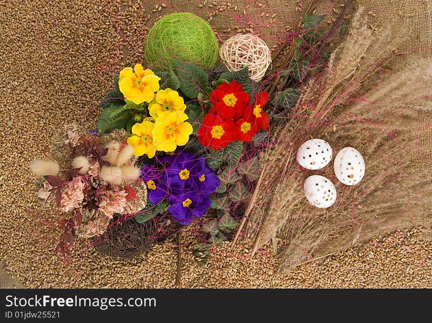 Easter decoration with primrose,Easter egg against a background from corn. Easter decoration with primrose,Easter egg against a background from corn.