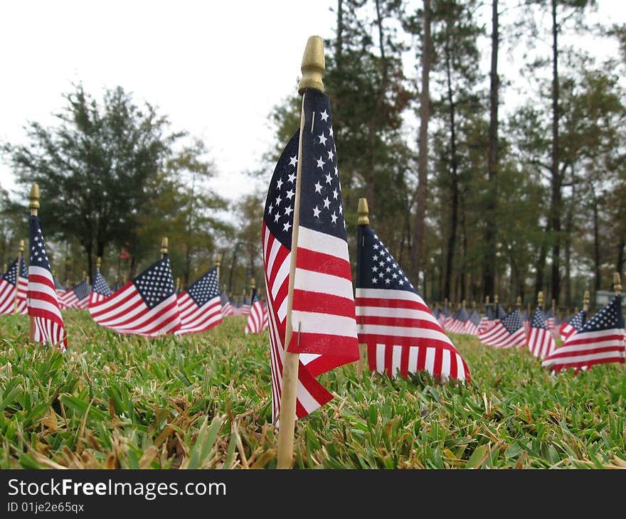 Scores of American Flags