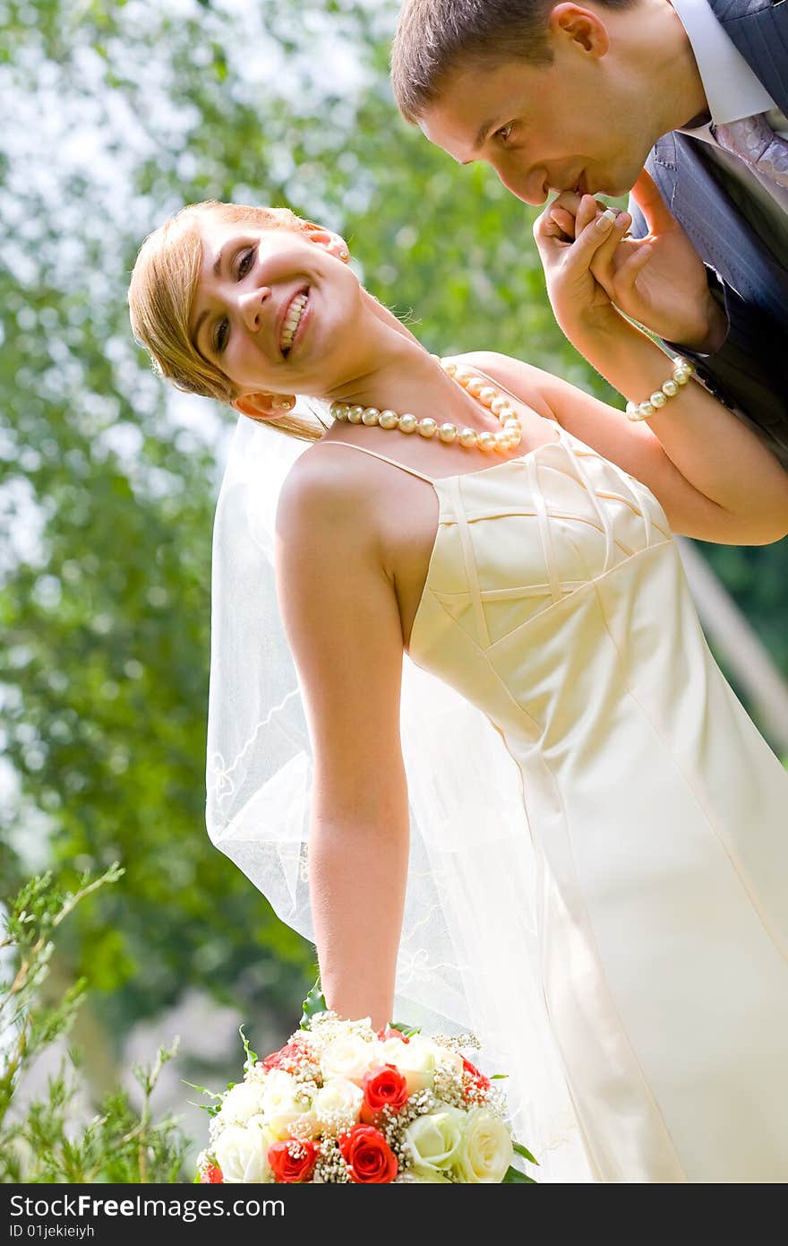 Young groom kissing bride's hand. Young groom kissing bride's hand