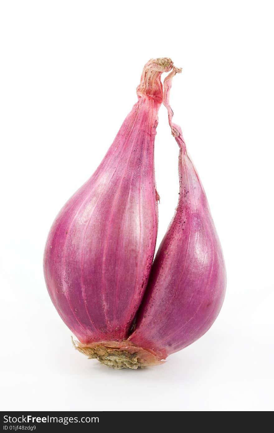 One onion on white background