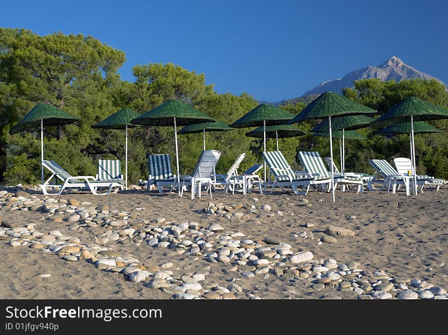 Green tropic parasols on the beach