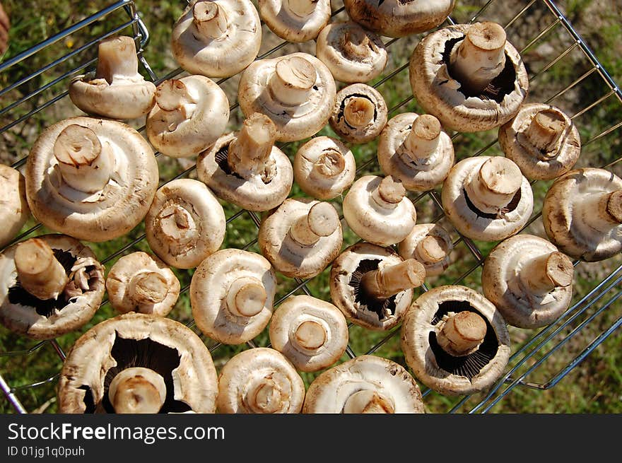 Field mushrooms in the basket